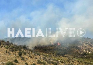 Φωτιά στην Αρχαία Ολυμπία – Καίει σε δύσβατο σημείο στην περιοχή Σπαρτουλιά