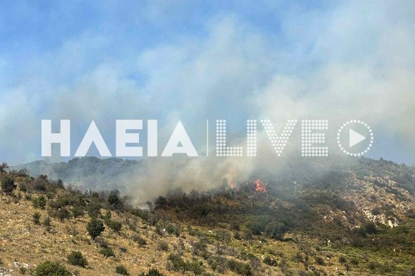 Φωτιά στην Αρχαία Ολυμπία – Καίει σε δύσβατο σημείο στην περιοχή Σπαρτουλιά