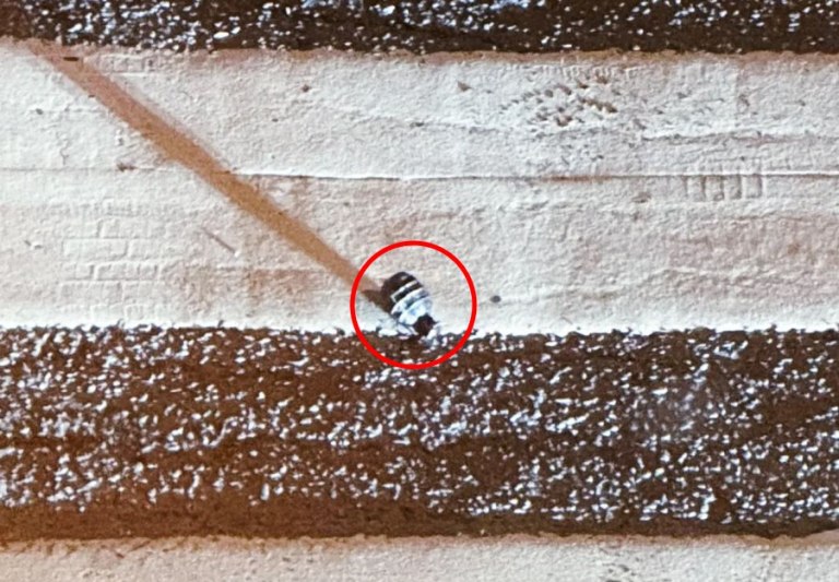 Συναγερμός για έκρηξη στο Όσλο – Άγνωστος έριξε χειροβομβίδες [βίντεο]