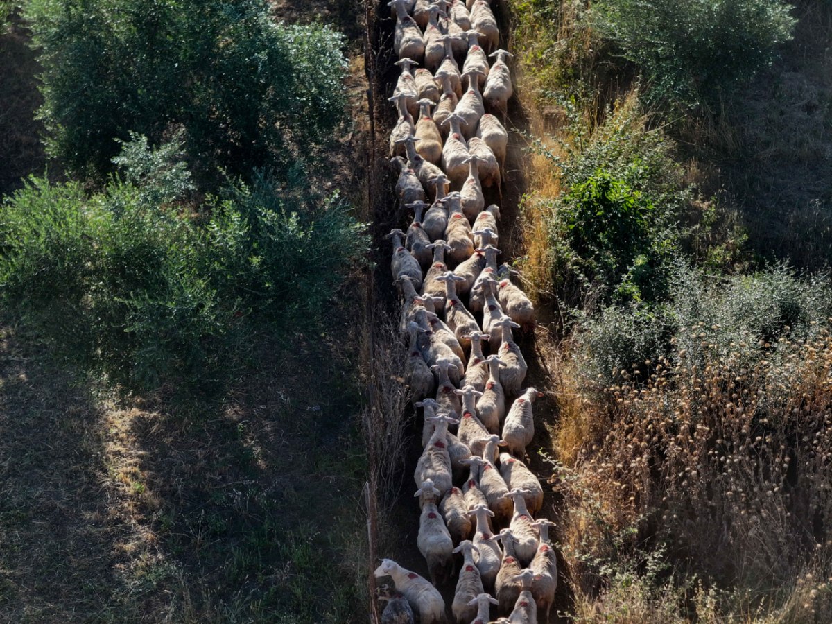 Σκάνδαλο ΟΠΕΚΕΠΕ: Τα «γαλάζια καρφιά» για τον «πράσινο Χνάρη» – Η απάντηση του βουλευτή Ρεθύμνης