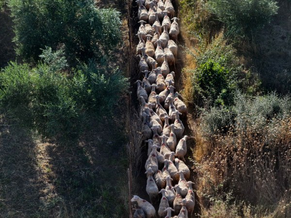 Σκάνδαλο ΟΠΕΚΕΠΕ: Τα «γαλάζια καρφιά» για τον «πράσινο Χνάρη» – Η απάντηση του βουλευτή Ρεθύμνης