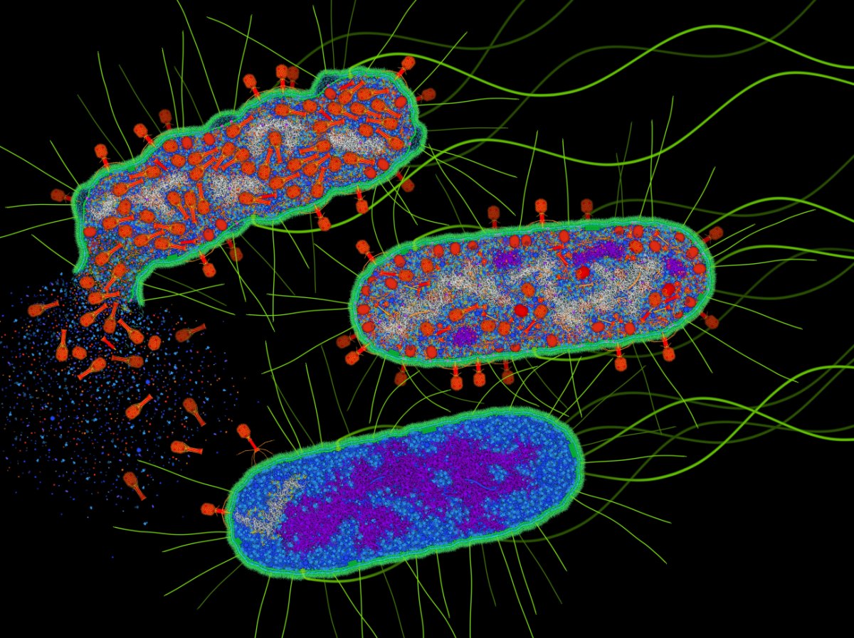 Ιοί σχεδιάστηκαν για πρώτη φορά από ΑΙ – Πρώτο βήμα για συνθετικές μορφές ζωής