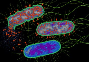 Ιοί σχεδιάστηκαν για πρώτη φορά από ΑΙ – Πρώτο βήμα για συνθετικές μορφές ζωής