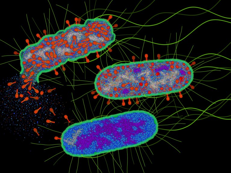 Ιοί σχεδιάστηκαν για πρώτη φορά από ΑΙ – Πρώτο βήμα για συνθετικές μορφές ζωής