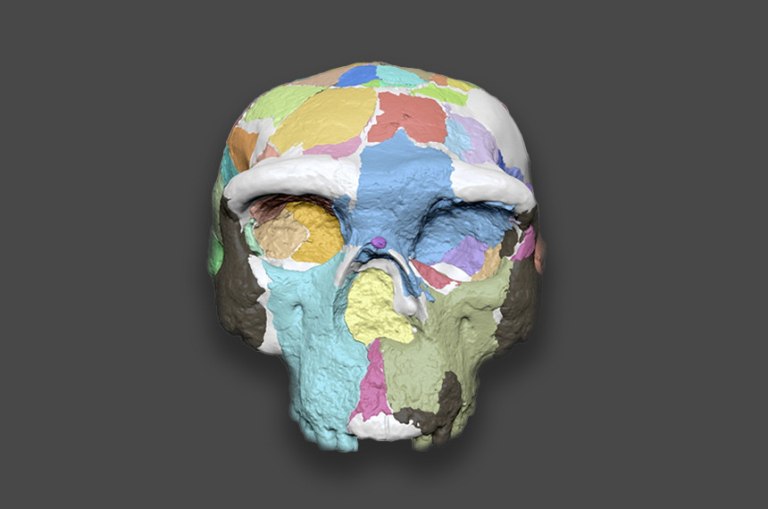 Απολιθωμένο κρανίο στην Κίνα ίσως ξαναγράφει την εξελικτική ιστορία του ανθρώπου