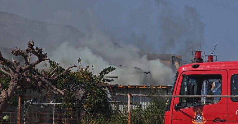 Φωτιά ξέσπασε σε φυτώριο στο Μενίδι – Άμεση επέμβαση της Πυροσβεστικής