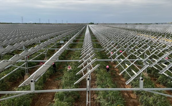 Πώς τα αγροβολταϊκά βοηθούν την Κίνα να φρενάρει την ερημοποίηση