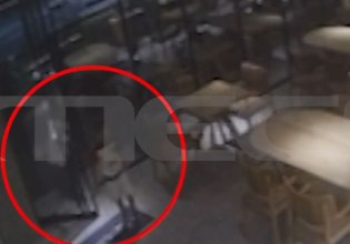 Πάτρα: Συμμορία ανηλίκων με 7χρονο αρχηγό ρημάζει καταστήματα και επιχειρήσεις – Βίντεο ντοκουμέμντα