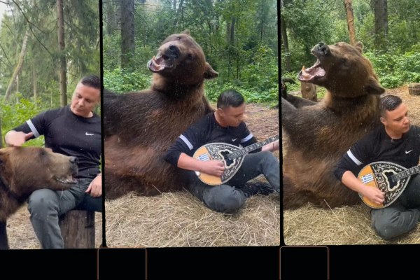 Viral διπλοπενιές: Αρκούδα απολαμβάνει το ζεϊμπέκικο της Ευδοκίας – Όσα είπε ο Λαρισαίος Δημήτρης Κατσιούρας