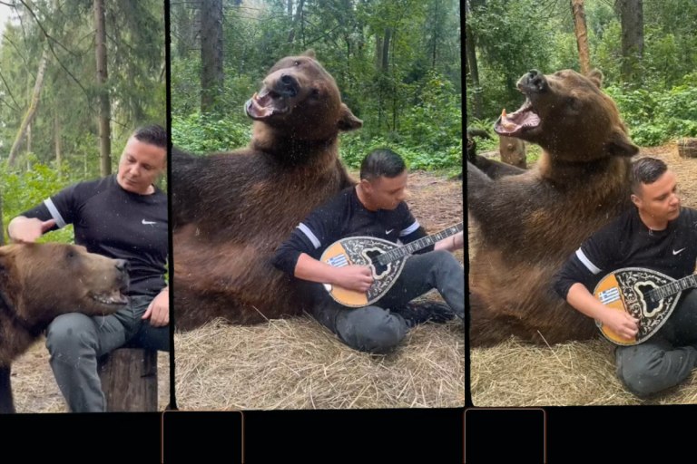 Viral διπλοπενιές: Αρκούδα απολαμβάνει το ζεϊμπέκικο της Ευδοκίας – Όσα είπε ο Λαρισαίος Δημήτρης Κατσιούρας