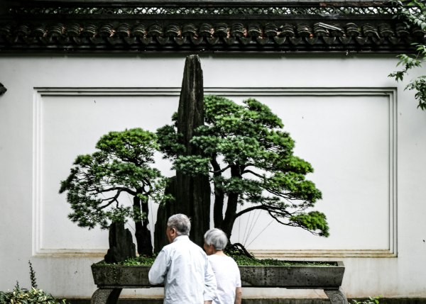 Μακροζωία: Μήπως πιάσαμε ταβάνι;