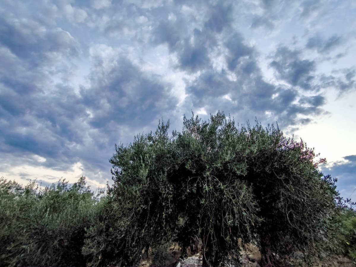 Καιρός: Έως τους 34 βαθμούς η θερμοκρασία – Πού θα σημειωθούν βροχές και καταιγίδες