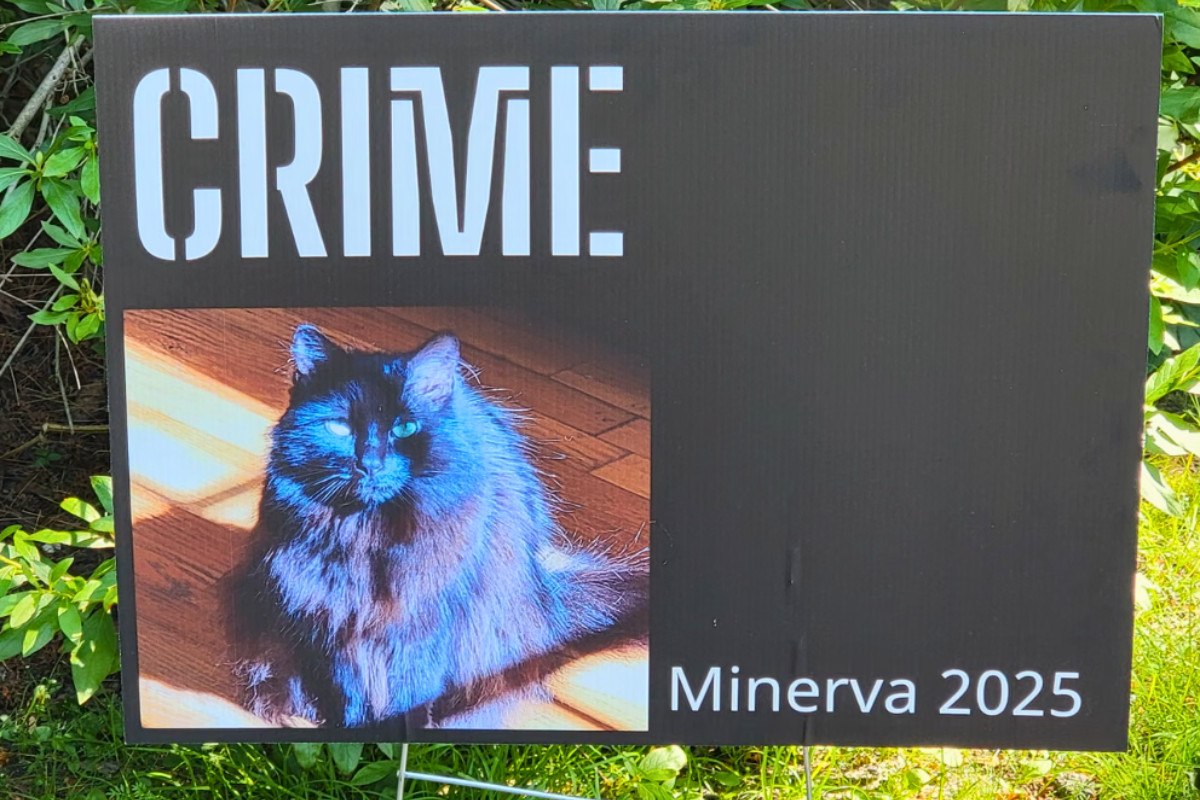 Ανατροπές, σκάνδαλα και ύποπτος θάνατος: Ποια γάτα θα βγει Δήμαρχος στη Μασαχουσέτη;