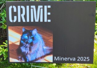 Ανατροπές, σκάνδαλα και ύποπτος θάνατος: Ποια γάτα θα βγει Δήμαρχος στη Μασαχουσέτη;