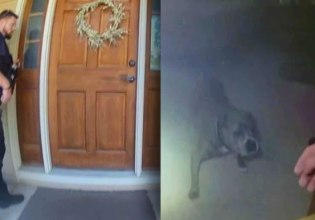 Απίστευτη διάσωση: Σκύλος οδήγησε αστυνομικό στο λουρί του για να τον βγάλει από φλεγόμενο σπίτι