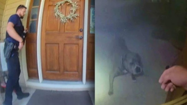 Απίστευτη διάσωση: Σκύλος οδήγησε αστυνομικό στο λουρί του για να τον βγάλει από φλεγόμενο σπίτι