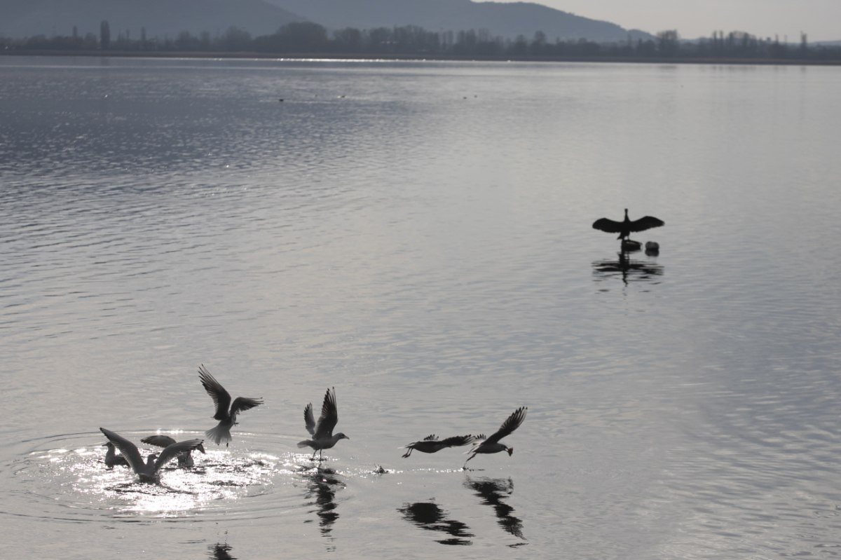 Καιρός: Γενικά αίθριος με θερμοκρασίες έως 32 βαθμούς – Σε ποιες περιοχές θα βρέξει
