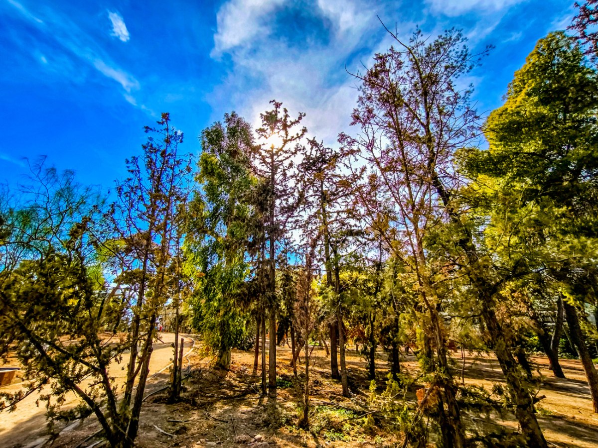 Καιρός: Νέα πτώση της θερμοκρασίας την Παρασκευή