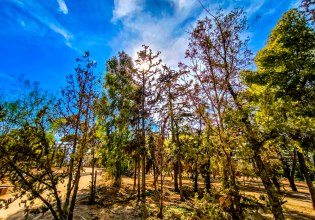 Καιρός: Νέα πτώση της θερμοκρασίας την Παρασκευή