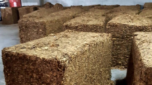 ΑΑΔΕ: Σοκαριστικά ευρήματα σε αναλύσεις παράνομων καπνικών προϊόντων – Περιττώματα ζώων, νύχια και μούχλα