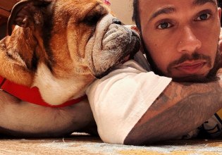 Το τελευταίο γκραν-πρι του Roscoe: O Λιούις Χάμιλτον έκανε ευθανασία στο σκύλο-σύμβολο της F1 – «Άγγελος»