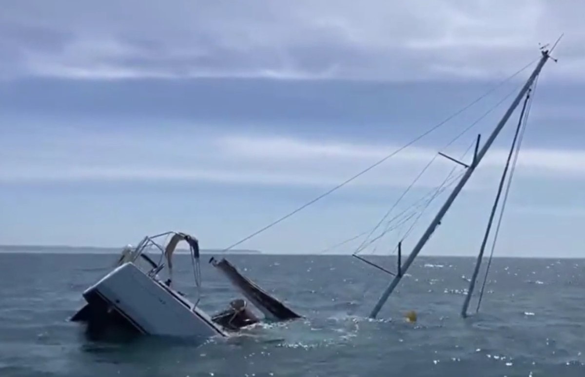 Πορτογαλία: Όρκες βύθισαν τουριστικό σκάφος – Η σοκαριστική στιγμή της επίθεσης [βίντεο]
