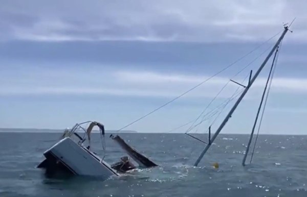 Πορτογαλία: Όρκες βύθισαν τουριστικό σκάφος – Η σοκαριστική στιγμή της επίθεσης [βίντεο]