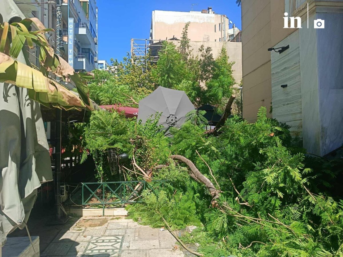 Αθήνα: Δύο τραυματίες από πτώση δέντρου στην πλατεία Αγίας Ειρήνης – Η ανακοίνωση του Δήμου