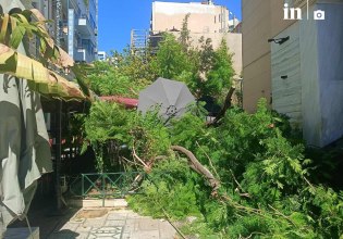 Αθήνα: Δύο τραυματίες από πτώση δέντρου στην πλατεία Αγίας Ειρήνης – Η ανακοίνωση του Δήμου