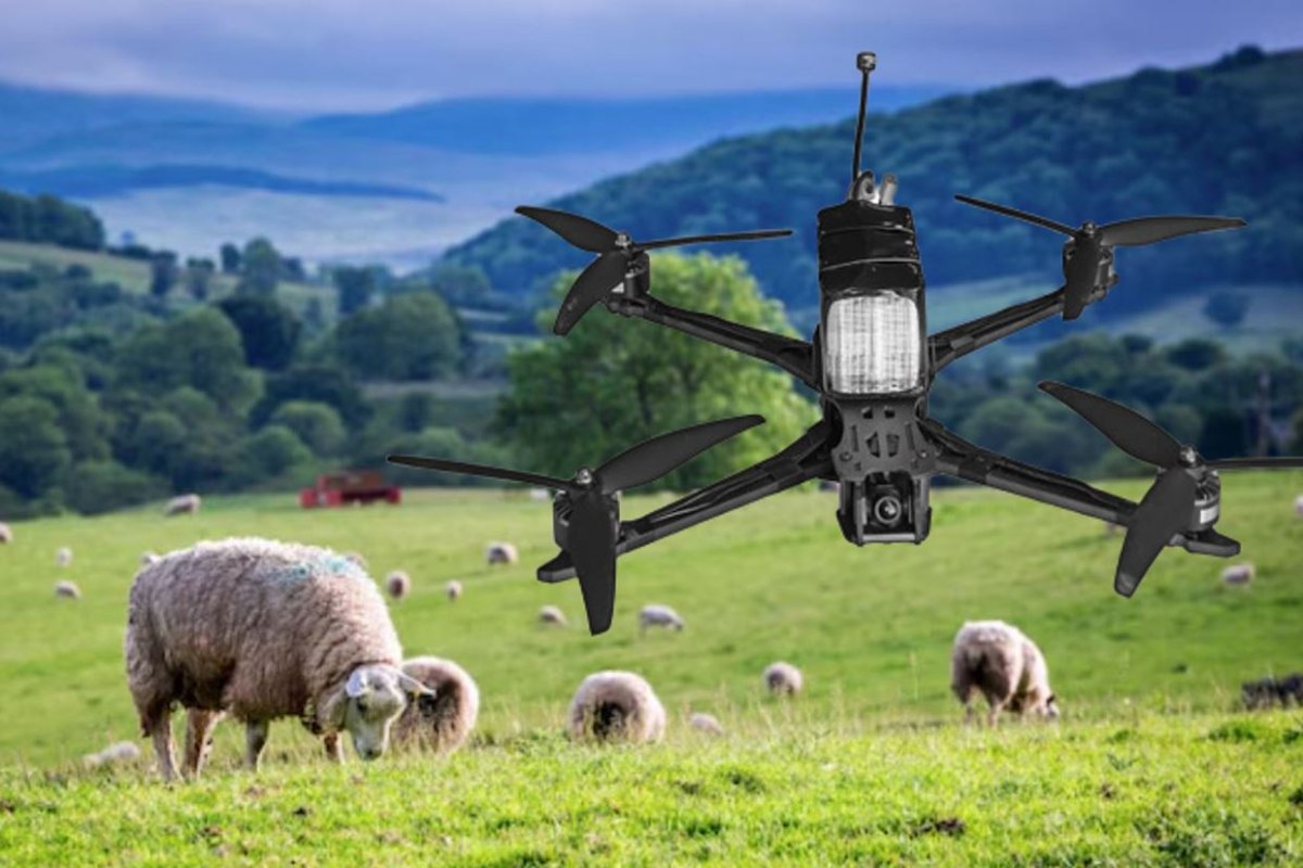 Η Αγγλία προπαρασκευάζεται για πόλεμο, αλλά τα drones της κυνηγούν… πρόβατα