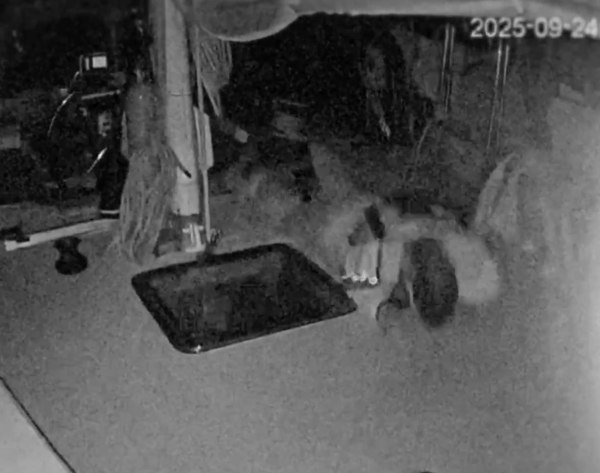 ΚΚΕ για την επίθεση κατά του «Global Sumud Flotilla»: Η ελληνική κυβέρνηση να λάβει τα απαραίτητα μέτρα