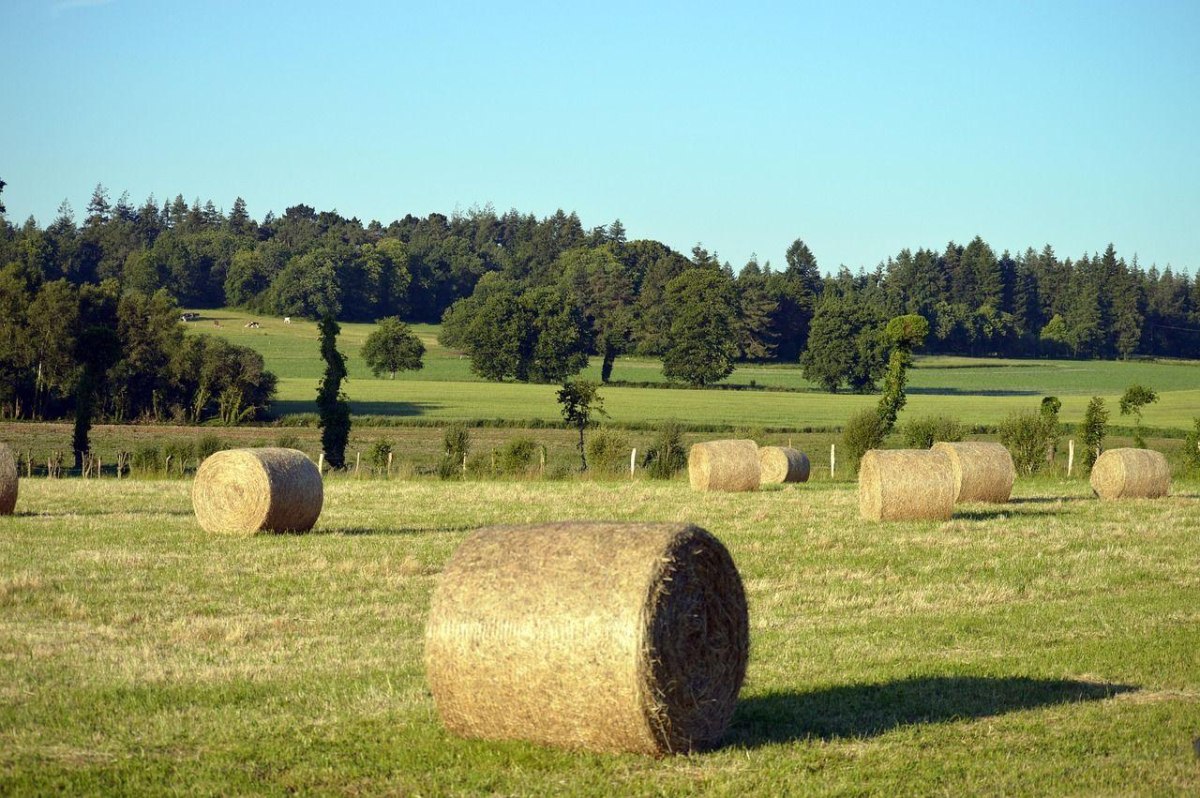 «Holapueblo»: Πώς η Ισπανία επιχειρεί να ζωντανέψει τα άδεια χωριά της