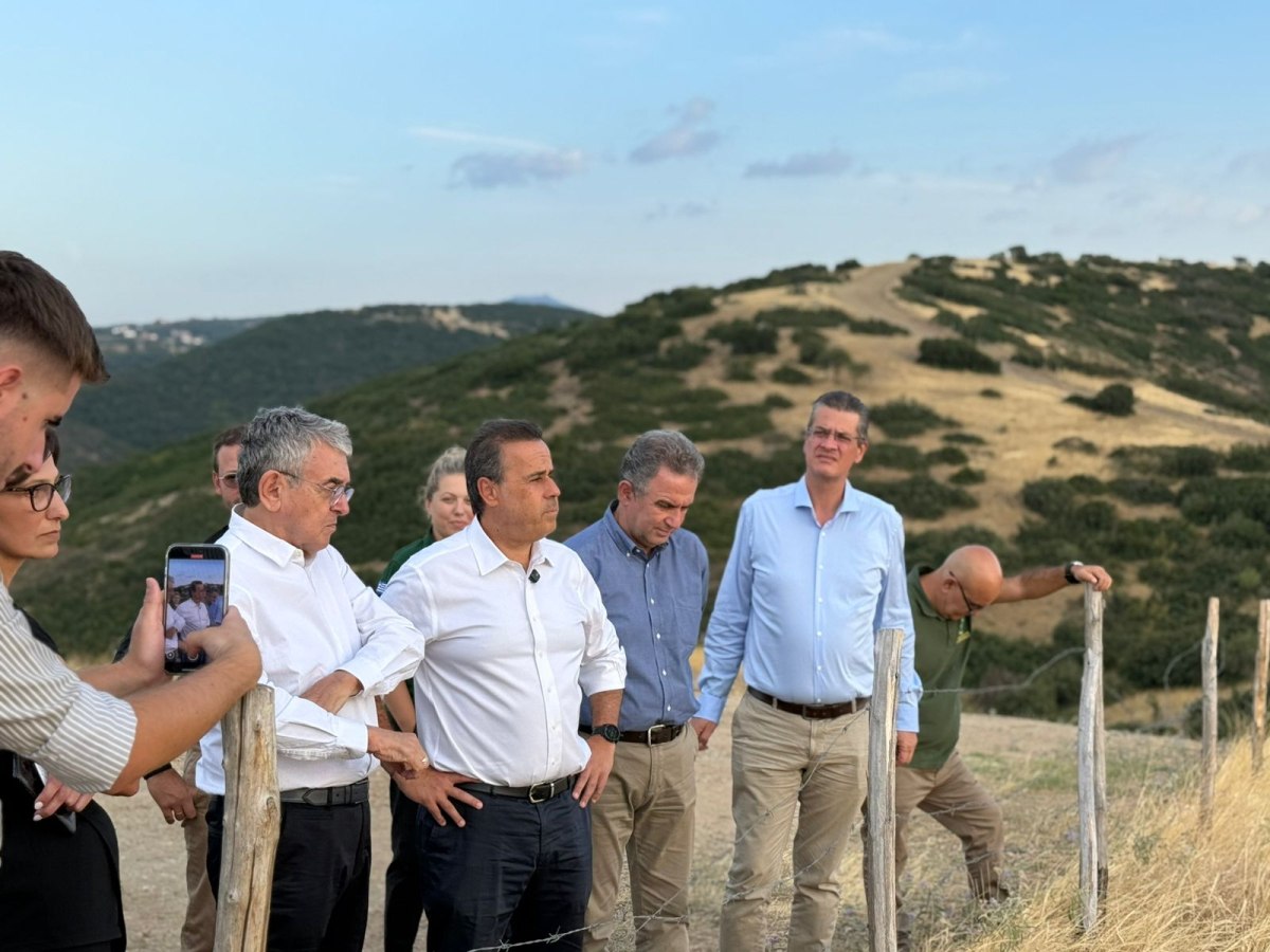 Παπασταύρου: Αληθινός παράδεισος το προστατευτικό περιαστικό δάσος Παύλου Μελά