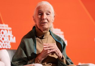 Πέθανε η Τζέιν Γκούντολ, ακτιβίστρια υπέρ της άγριας ζωής και ειδικός σε πρωτεύοντα θηλαστικά