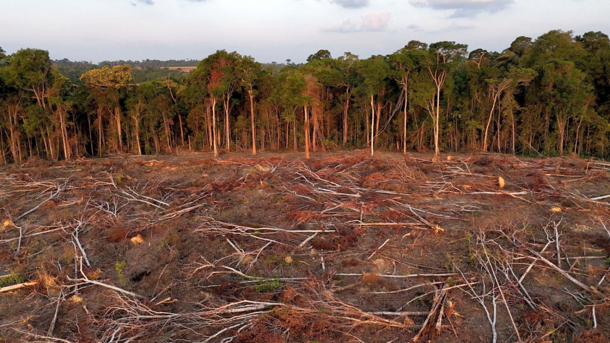 Έκταση που αποψιλώθηκε στον Αμαζόνιο από καλλιεργητές σόγιας στο Σανταρέμ της Βραζιλίας στις 6 Οκτωβρίου 2024 (Reuters)
