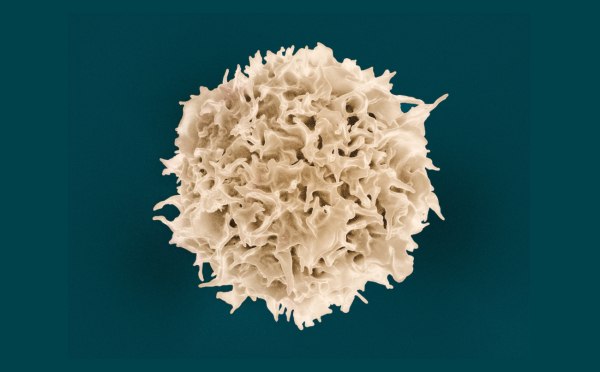 Νόμπελ Ιατρικής για τους μηχανισμούς που εμποδίζουν τις αυτοάνοσες ασθένειες