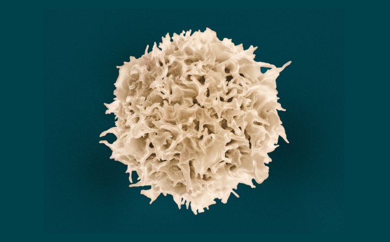 Νόμπελ Ιατρικής για τους μηχανισμούς που εμποδίζουν τις αυτοάνοσες ασθένειες