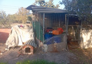 Ενοικιαστές σε απόγνωση, με όπλο το μαύρο χιούμορ: Η viral αγγελία στα Χανιά για το «κοτέτσι» των 1650 ευρώ