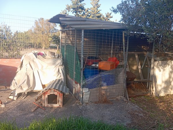 Ενοικιαστές σε απόγνωση, με όπλο το μαύρο χιούμορ: Η viral αγγελία στα Χανιά για το «κοτέτσι» των 1650 ευρώ