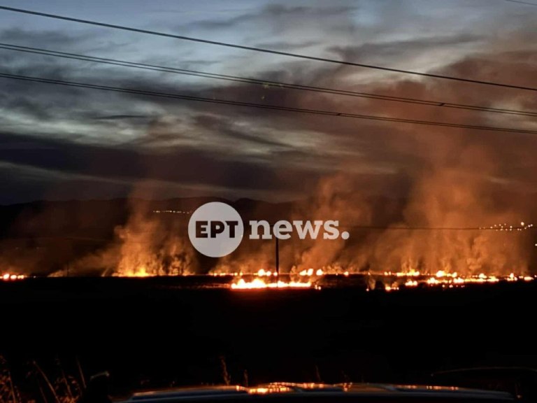 Φωτιά στο Άργος Ορεστικό, κοντά στο πεδίο βολής