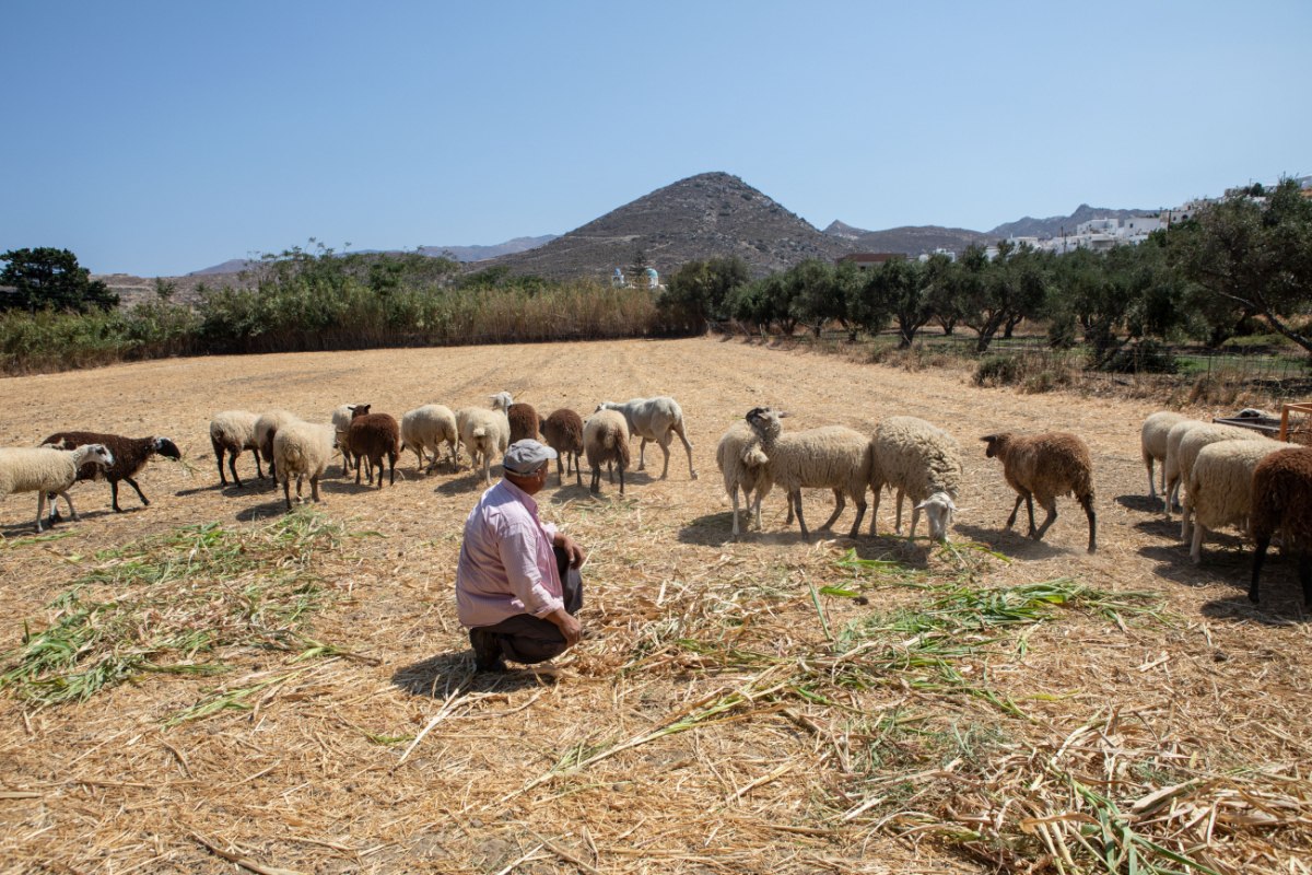 Αγρότες: Γερνάει η γεωργία στην Ευρώπη