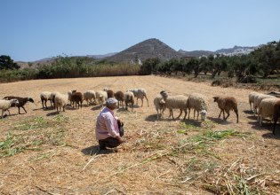 Αγρότες: Γερνάει η γεωργία στην Ευρώπη