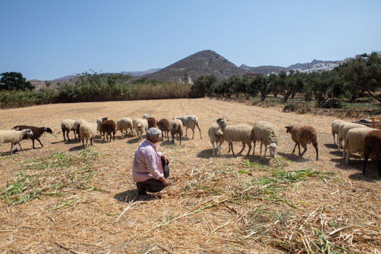 Αγρότες: Γερνάει η γεωργία στην Ευρώπη