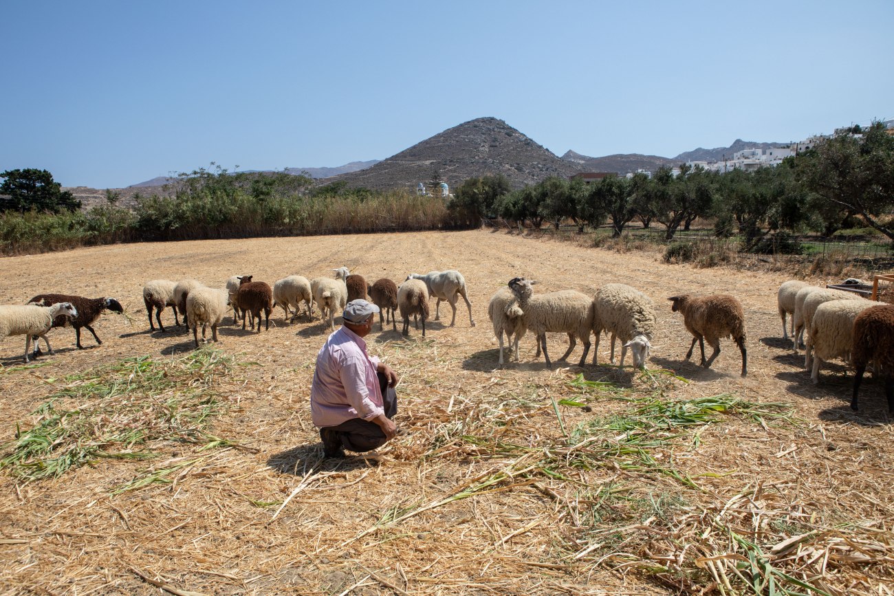 Αγρότες: Γερνάει η γεωργία στην Ευρώπη