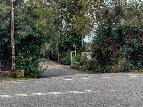 Μεσσηνία: Νέες αποκαλύψεις για τα «πακιστανικά» κινητά – Στο μικροσκόπιο οι κλήσεις την ημέρα του φονικού