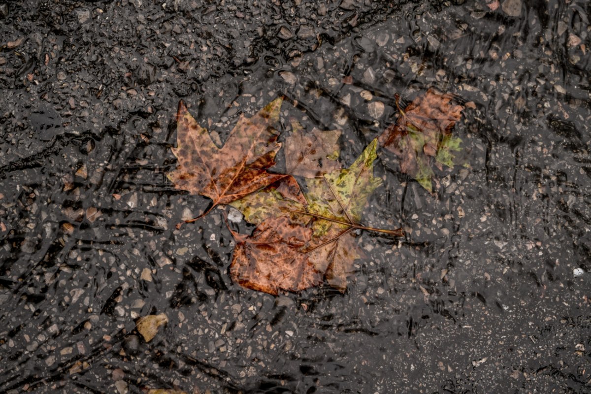 Βροχές και καταιγίδες σε δυτικά, κεντρικά και βόρεια – Ο καιρός την 28η Οκτωβρίου