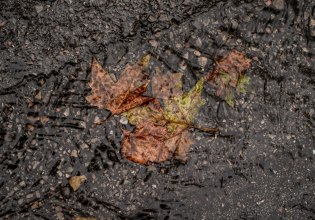 Βροχές και καταιγίδες σε δυτικά, κεντρικά και βόρεια – Ο καιρός την 28η Οκτωβρίου