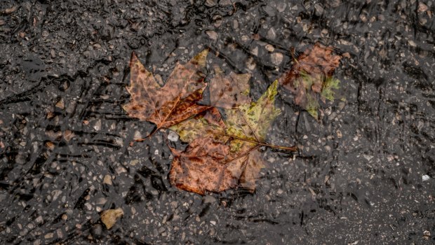 Καιρός: Βροχές και καταιγίδες σε δυτικά, κεντρικά και βόρεια – Υψηλές θερμοκρασίες στην Κρήτη