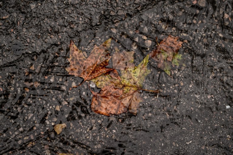 Βροχές και καταιγίδες σε δυτικά, κεντρικά και βόρεια – Ο καιρός την 28η Οκτωβρίου