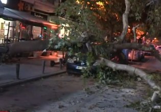 Θεσσαλονίκη: Δέντρο έπεσε πάνω σε ΙΧ σε κεντρικό δρόμο